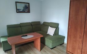 Apartament pod Lipą